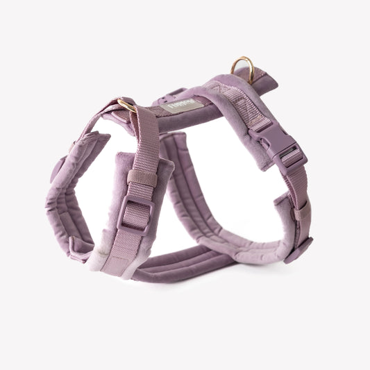 Harnais pour chiens en velours - Lilas - Furlou