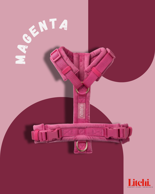 Harnais pour chiens en velours - Magenta - Furlou