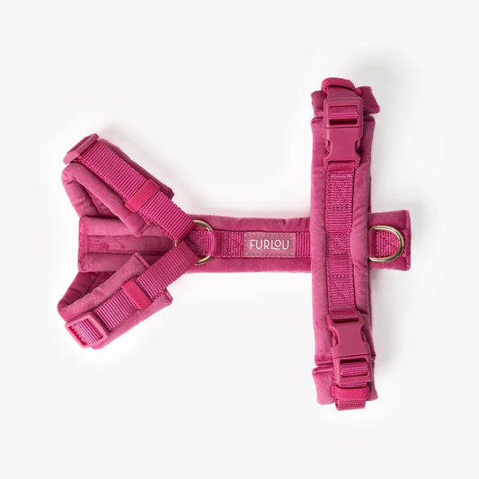 Harnais pour chiens en velours - Magenta - Furlou