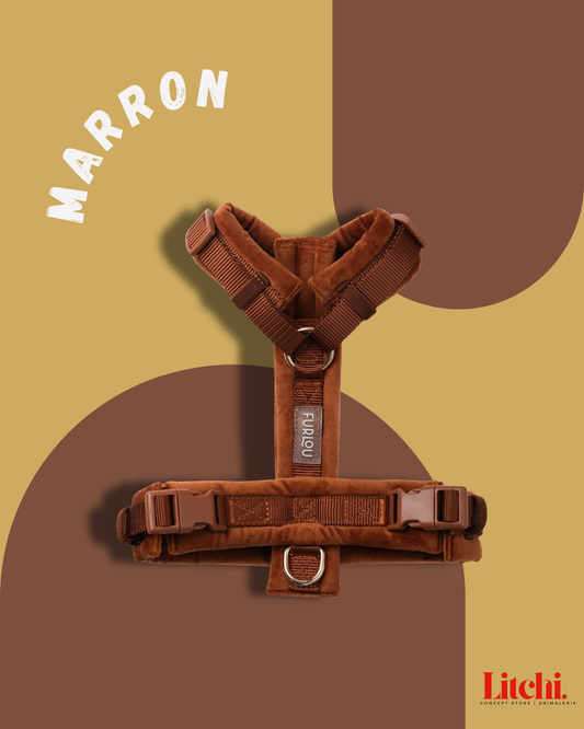 Harnais pour chiens en velours - Marron - Furlou