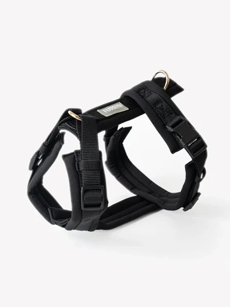 Harnais pour chien Noir - Confort