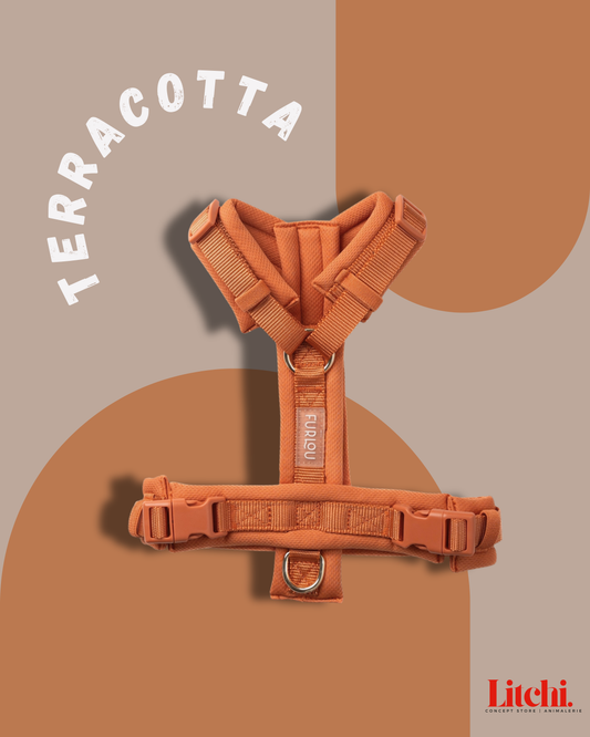 Harnais pour chien Terracotta - Confort
