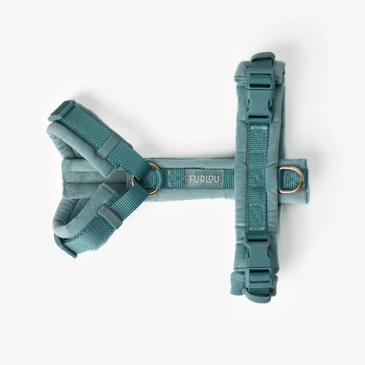 Harnais pour chiens en velours - Bleu - Furlou