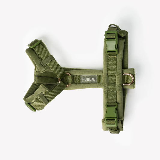 Harnais pour chiens en velours - Vert - Furlou