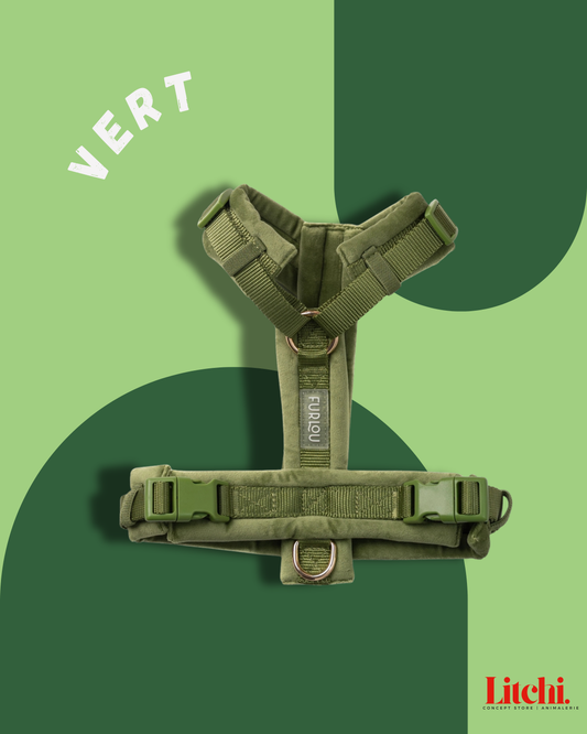 Harnais pour chiens en velours - Vert - Furlou