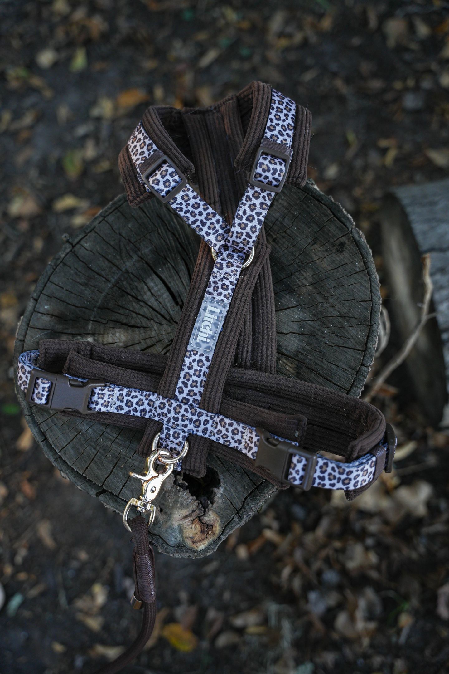 Harnais L’Indomptable - motif Léopard