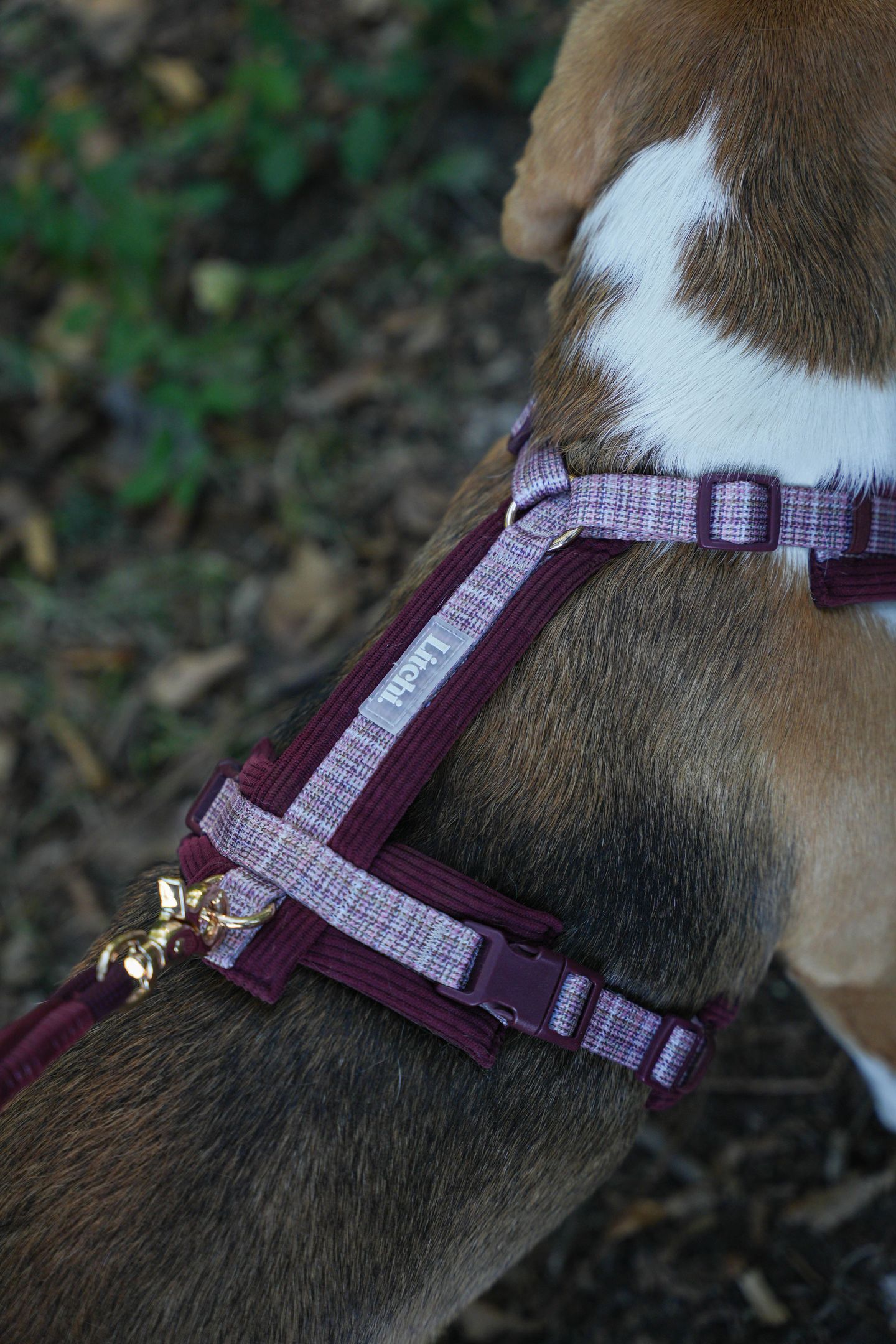 Harnais Le Merlot - motif Pied de Poule