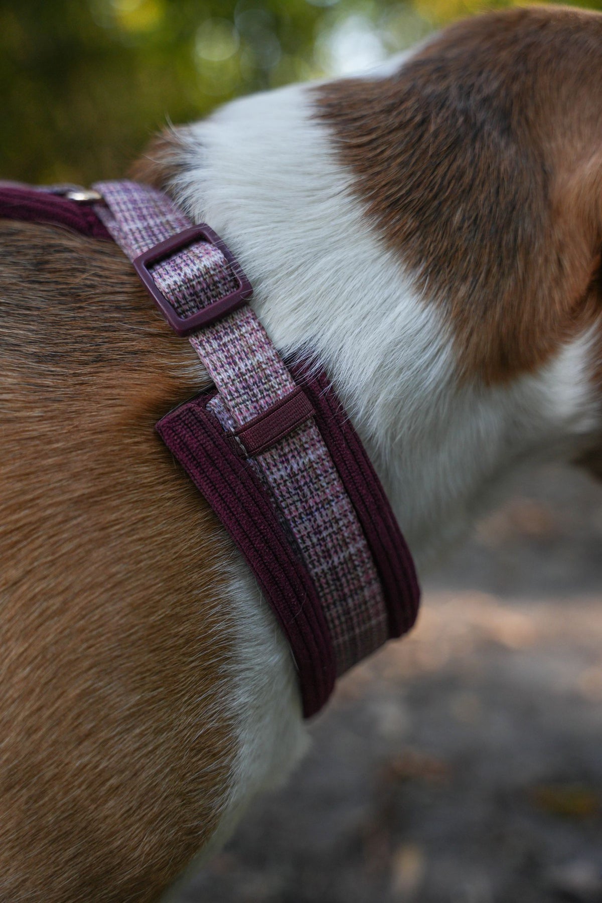Harnais Le Merlot - motif Pied de Poule