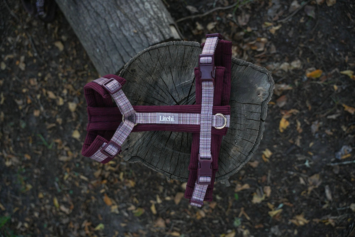 Harnais Le Merlot - motif Pied de Poule
