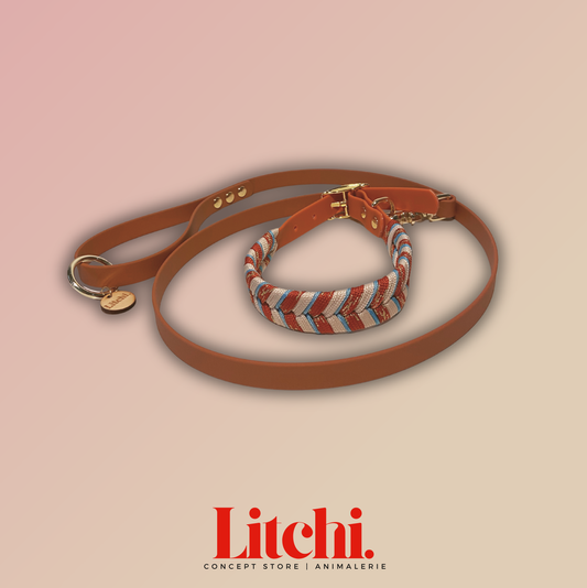 Laisse en BioThane® - 110cm - Marron