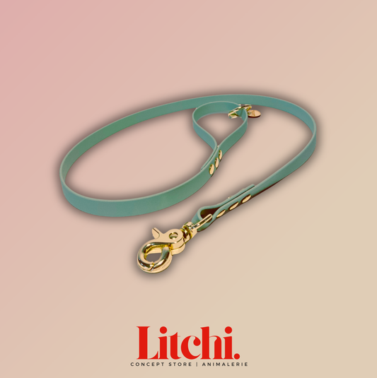 Laisse en BioThane® - 110cm - Menthe