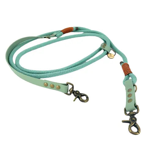 Laisse 3 positions bi-matières pour chien – Menthe