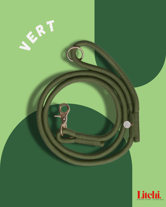 Laisse en corde tressée - Verte - Furlou