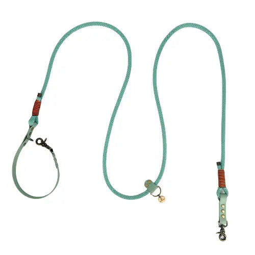 Laisse 3 positions bi-matières pour chien – Menthe
