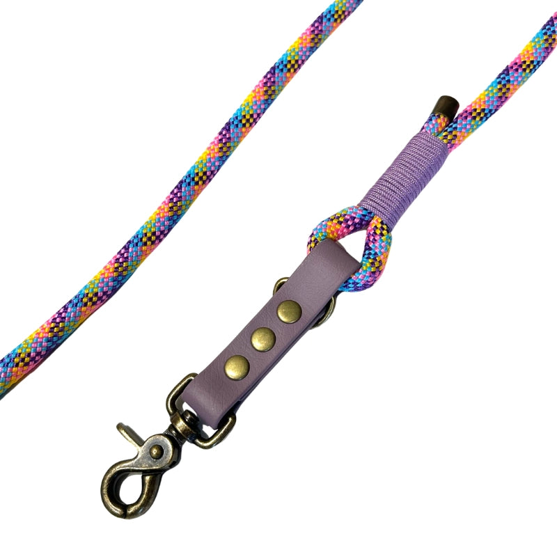 Laisse 3 positions bi-matières pour chien – Violet