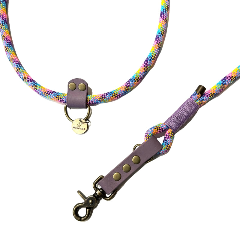 Laisse 3 positions bi-matières pour chien – Violet