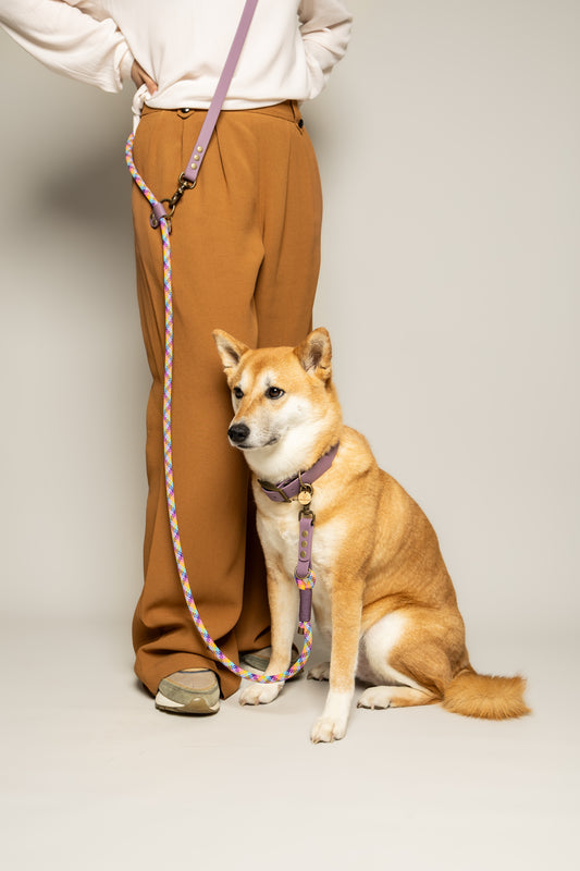 Laisse 3 positions bi-matières pour chien – Violet