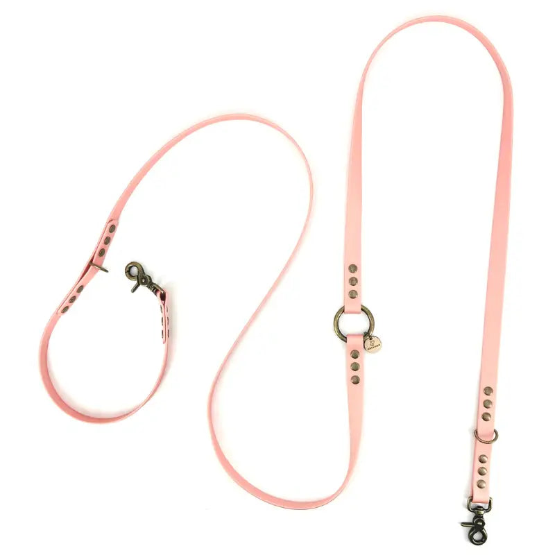 Laisse multi-positions BioThane® - Rose bonbon