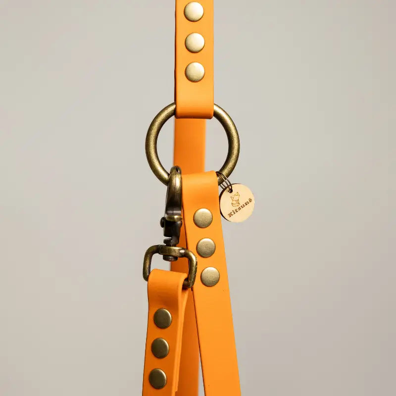 Laisse multi-positions BioThane® - Orange