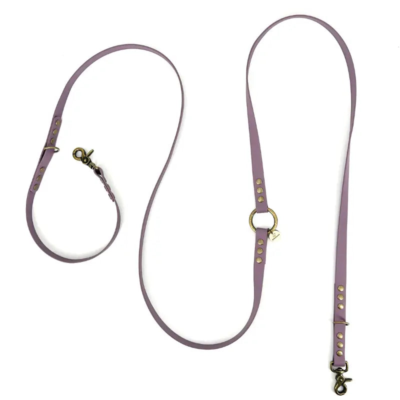 Laisse multi-positions BioThane® - Violet