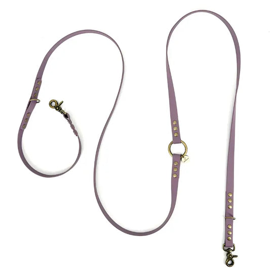 Laisse multi-positions BioThane® - Violet