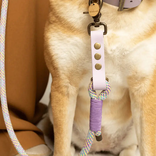 Laisse 3 positions bi-matières pour chien – Lilas