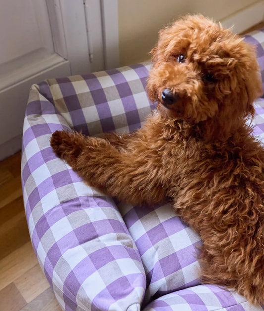 Lit pour chien amovible, durable et écoresponsable - Vichy Violet