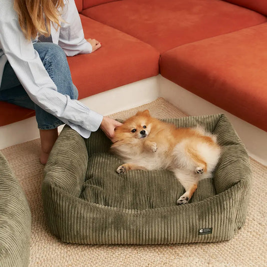 Lit pour chien en velours côtelé - Kaki