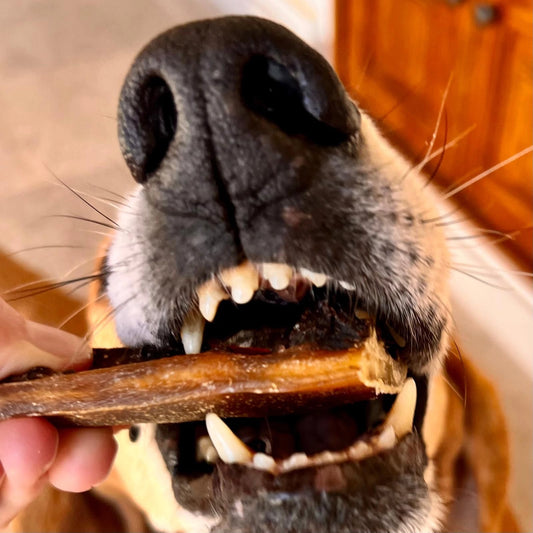 Intestins de Porc Séchés pour Chien – 60g