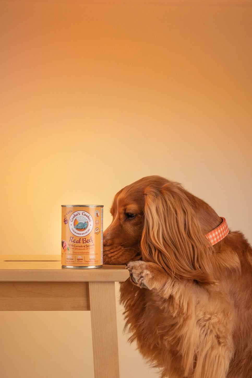 Nourriture humide naturelle pour chiens - Boeuf