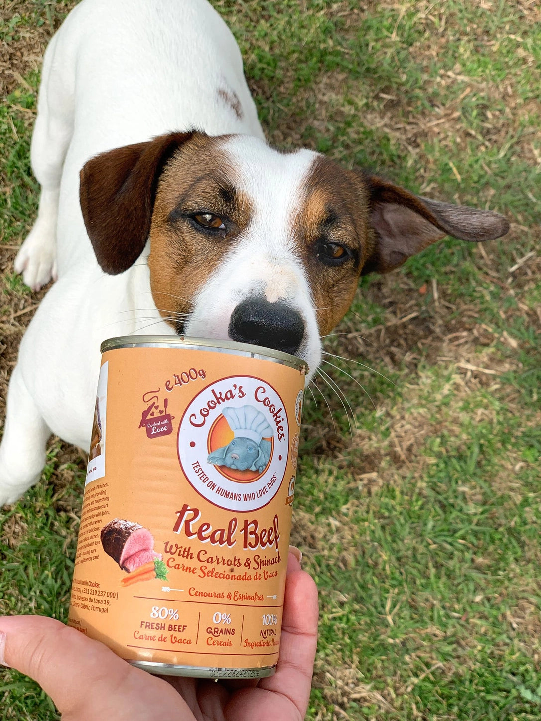 Nourriture humide naturelle pour chiens - Boeuf