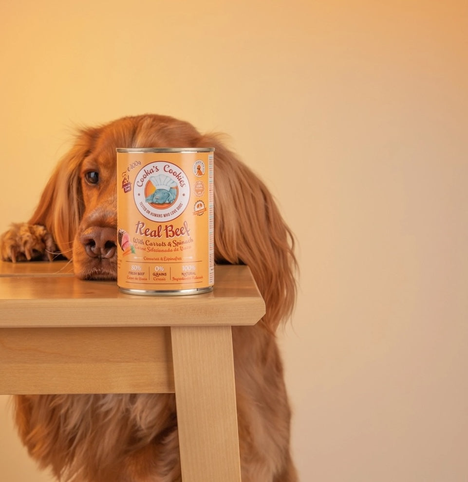 Nourriture humide naturelle pour chiens - Boeuf