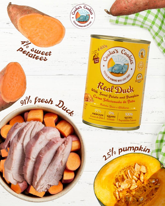 Pâté de Canard Naturel pour Chien – 400g