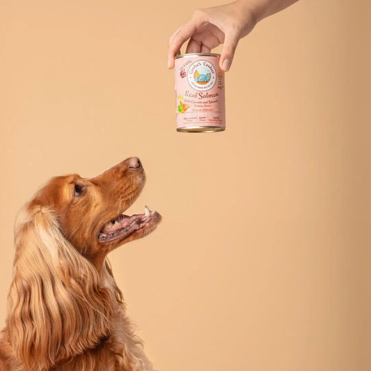Pâté de Saumon Naturel pour Chien – 400g