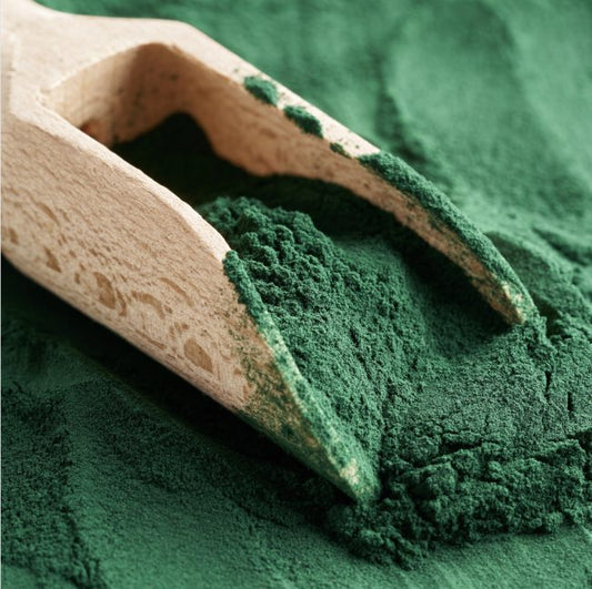 Spiruline verte en poudre