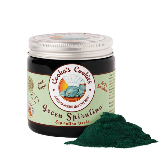 Spiruline verte en poudre