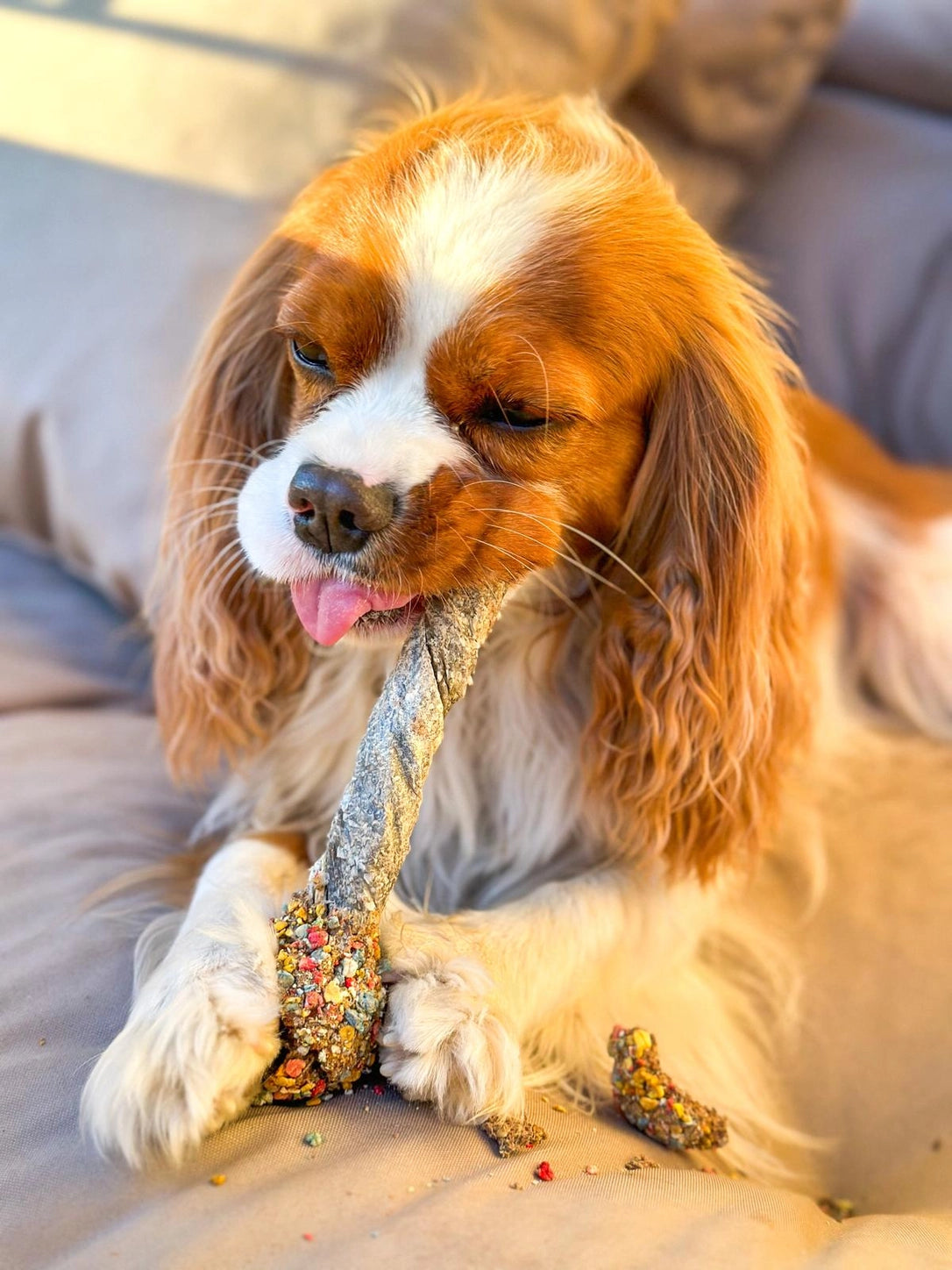Sucettes Naturelles à Mâcher pour Chien – 35-40g