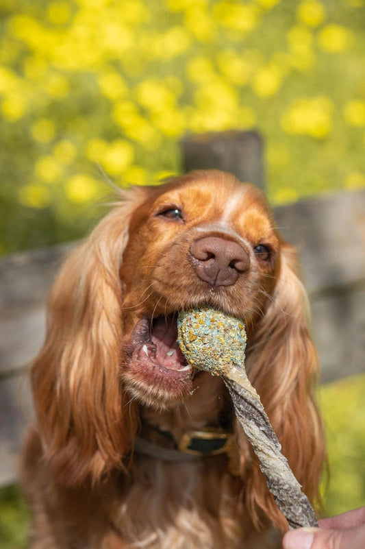 Sucettes Naturelles à Mâcher pour Chien – 35-40g