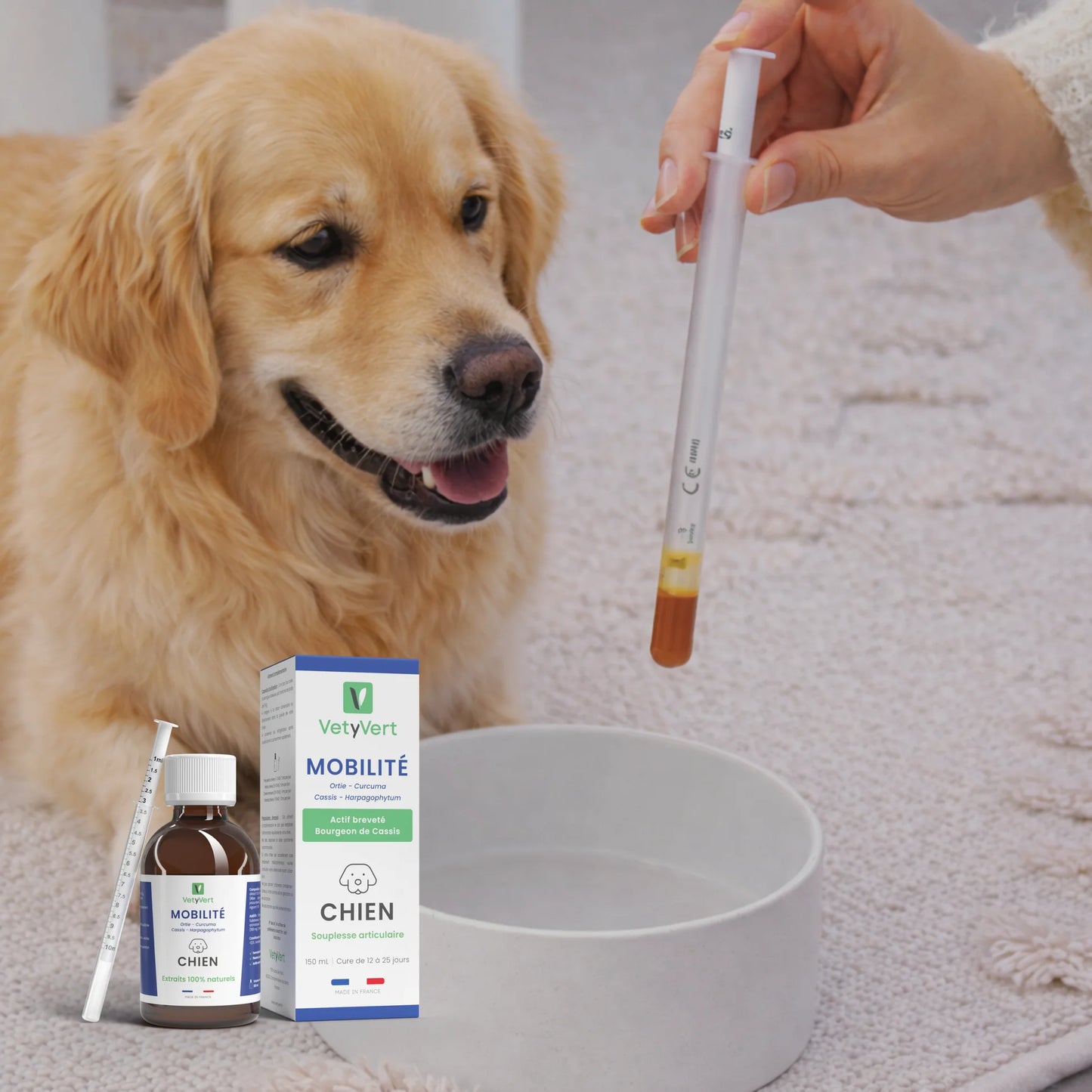Mobilité chien : complément alimentaire naturel pour le confort articulaire