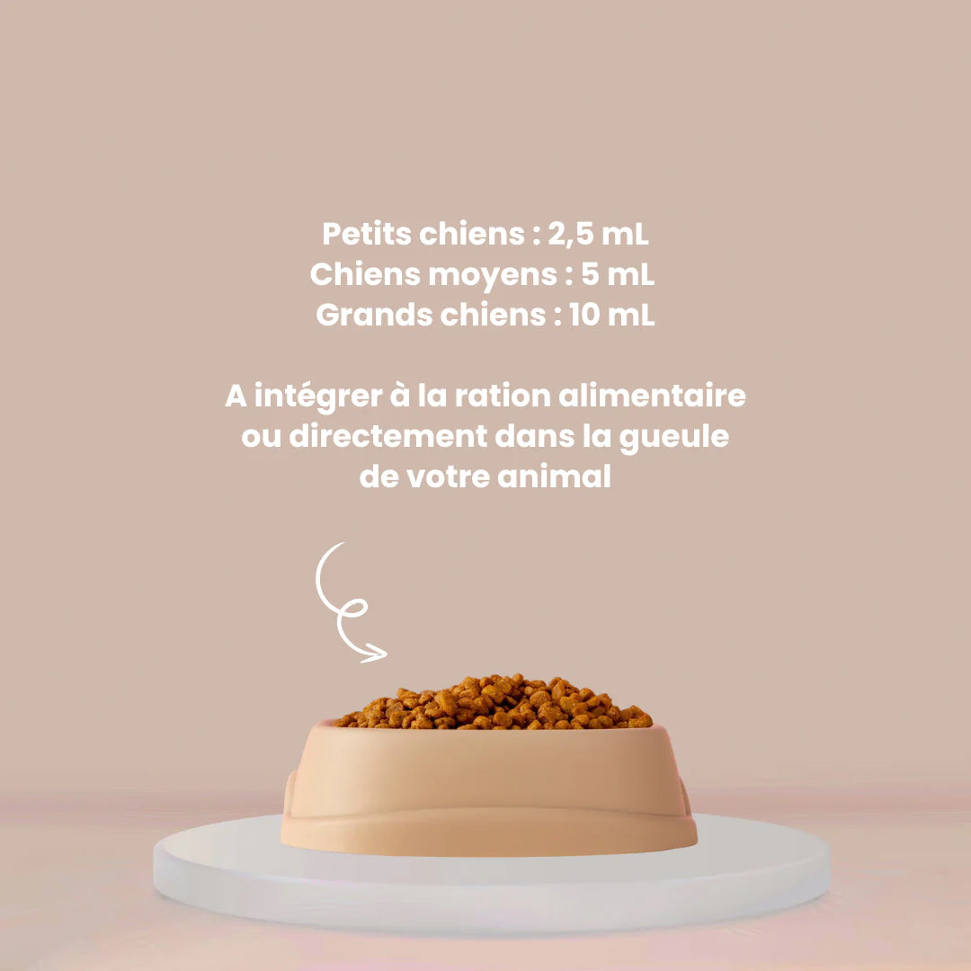 Oméga-3 chien : complément alimentaire du quotidien riche en oméga-3, EPA et DHA