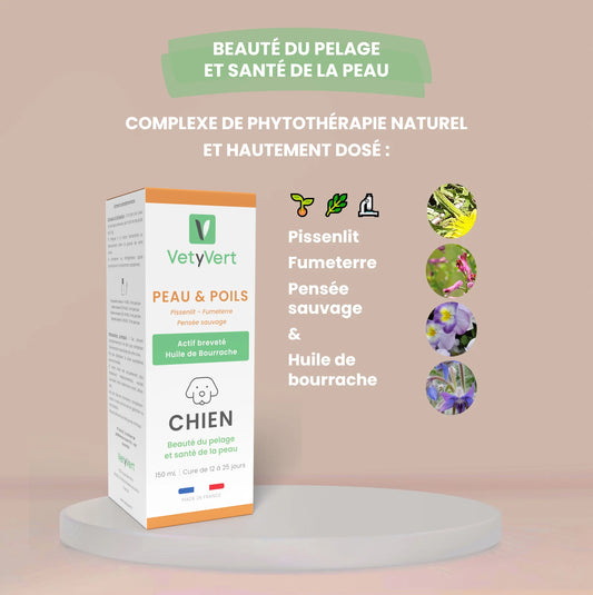 Peau & poils chien : complément alimentaire naturel pour une peau saine et un pelage brillant