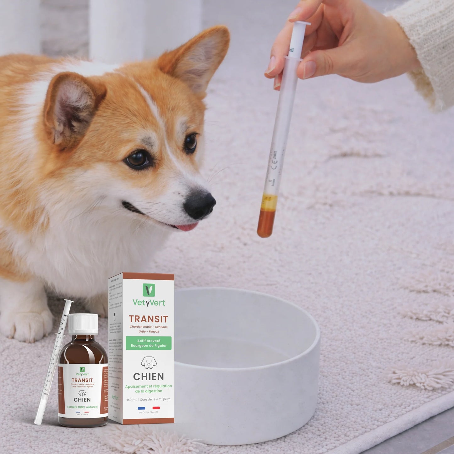 Transit chien : complément alimentaire naturel pour le confort digestif