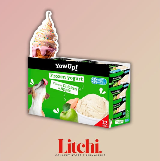 Yaourt glacé au Poulet