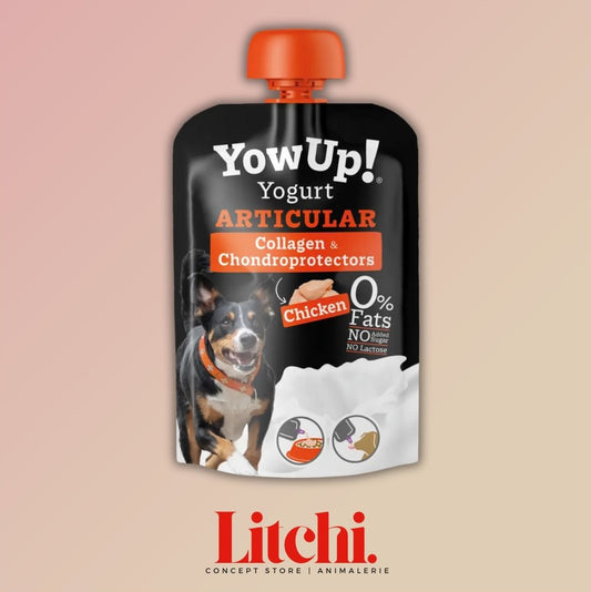 Yogurt naturel pour chiens au Poulet